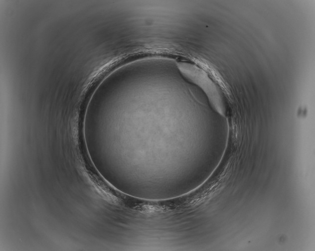 X0000095550442200712141559