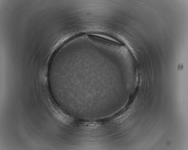 X0000095550443200712141559