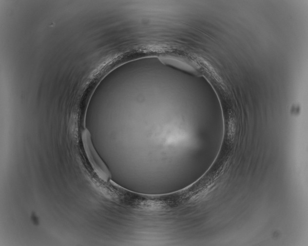 X0000095550444200712141559