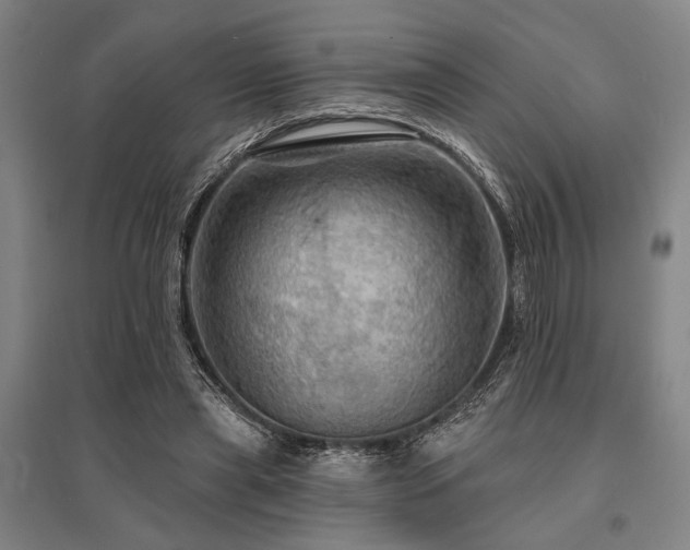 X0000095550445200712141559