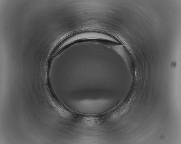 X0000095550446200712141559