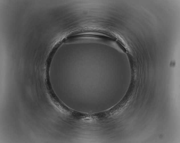 X0000095550447200712141559