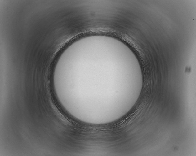 X0000095550448200712141559