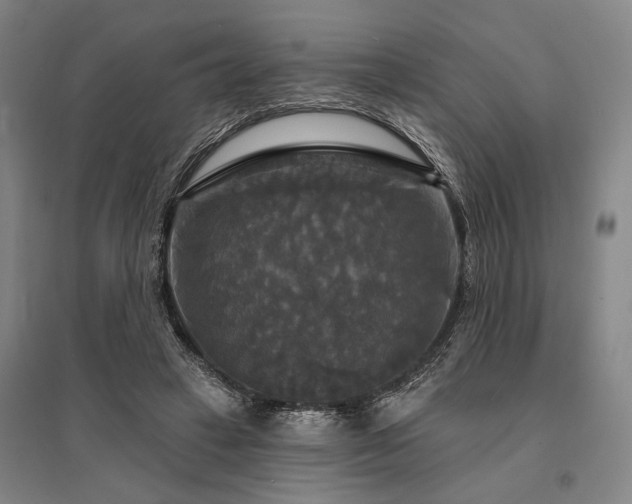 X0000095550449200712141559