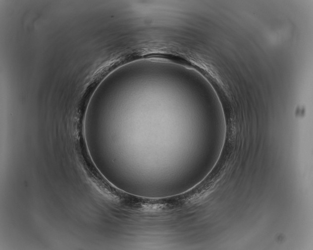 X0000095550450200712141559