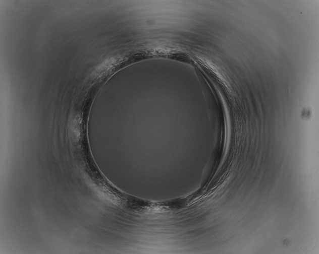 X0000095550451200712141559