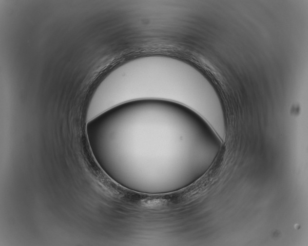 X0000095550452200712141559