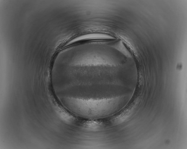 X0000095550453200712141559