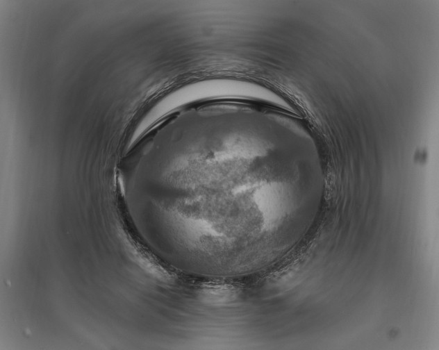 X0000095550454200712141559