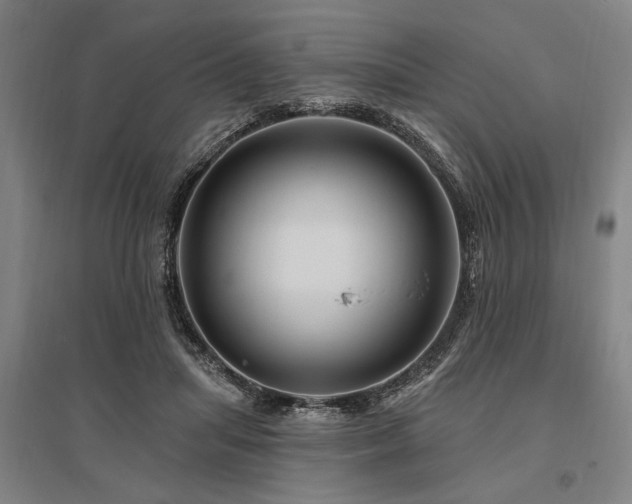 X0000095550455200712141559