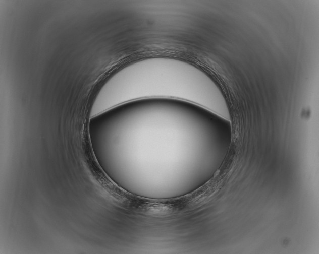 X0000095550456200712141559