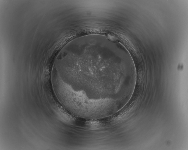 X0000095550457200712141559