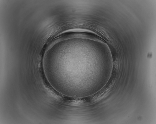 X0000095550458200712141559