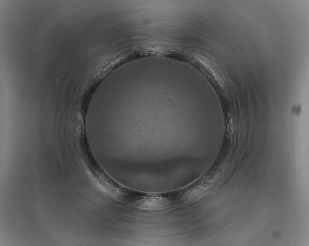 X0000095550459200712141559