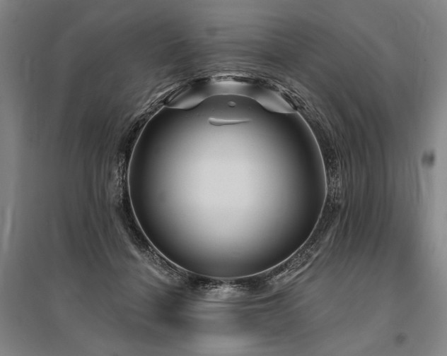 X0000095550460200712141559