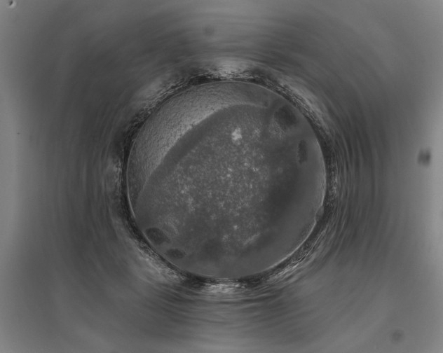 X0000095550461200712141559