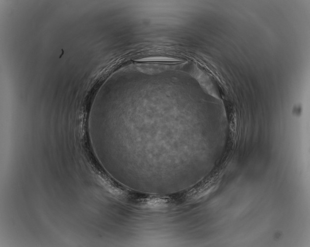 X0000095550462200712141559