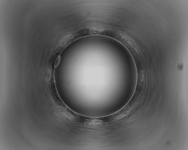 X0000095550463200712141559