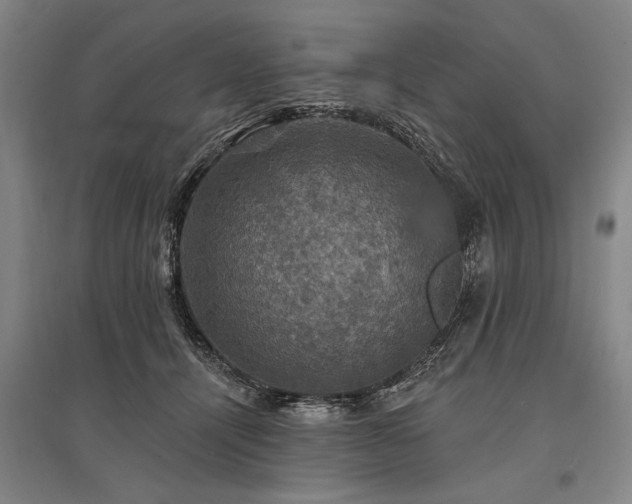 X0000095550464200712141559