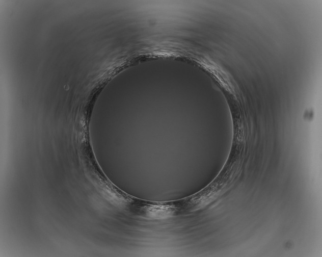 X0000095550465200712141559