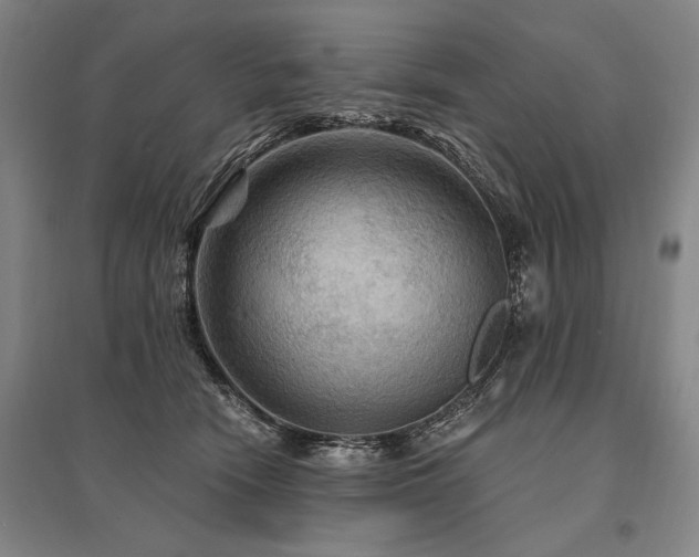 X0000095550466200712141559