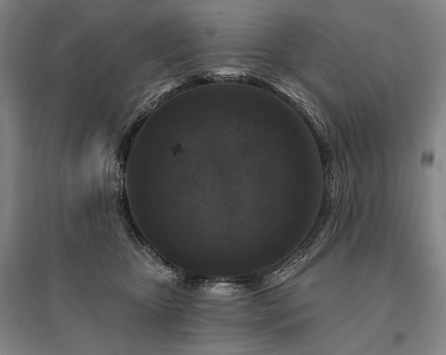 X0000095550467200712141559