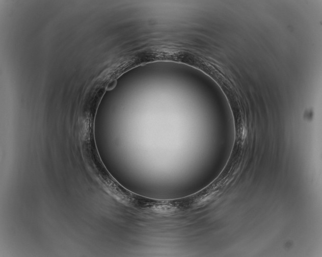 X0000095550468200712141559