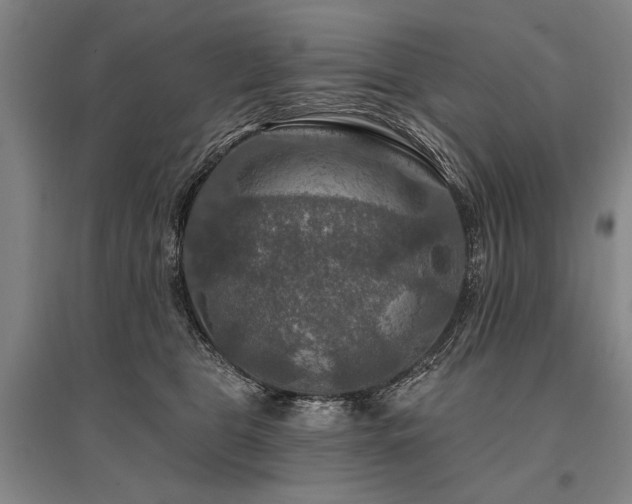 X0000095550469200712141559