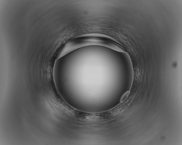 X0000095550470200712141559