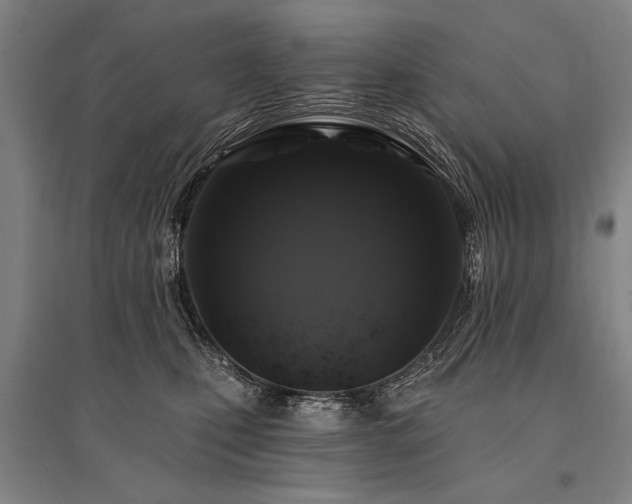 X0000095550471200712141559