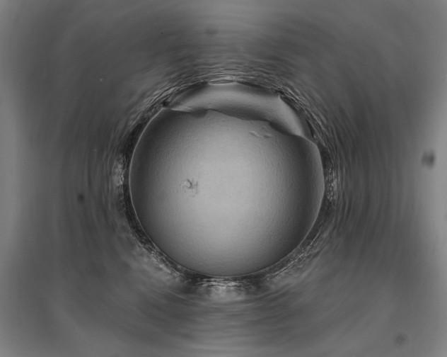 X0000095550472200712141559