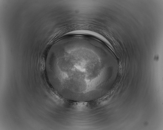 X0000095550474200712141559