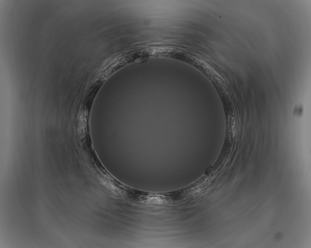 X0000095550475200712141559