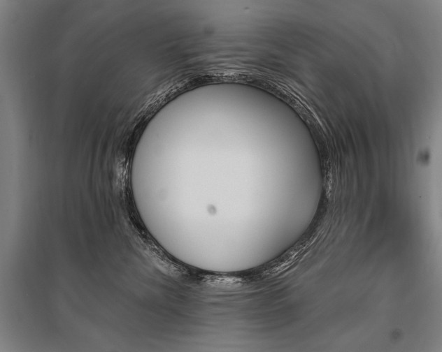 X0000095550476200712141559