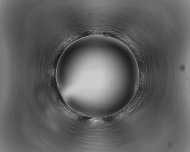 X0000095550477200712141559