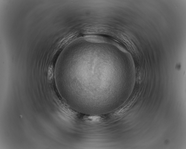 X0000095550478200712141559