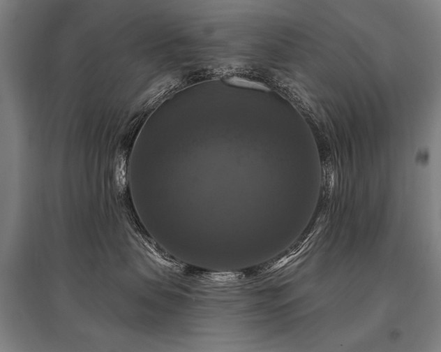 X0000095550479200712141559