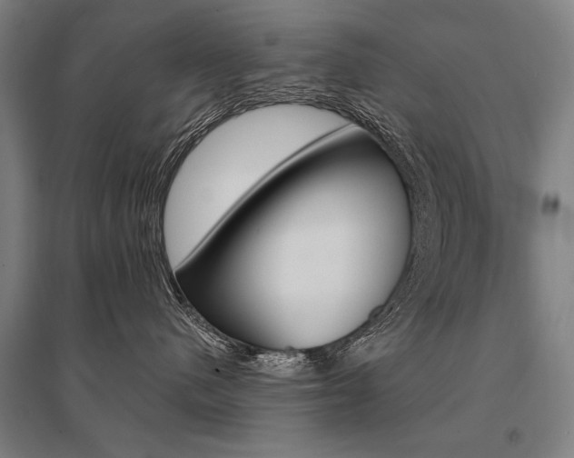 X0000095550480200712141559