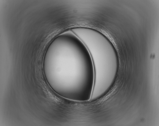 X0000095550481200712141558