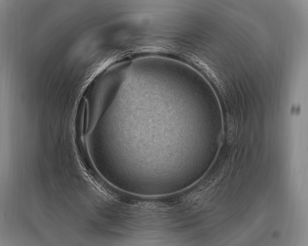 X0000095550482200712141558