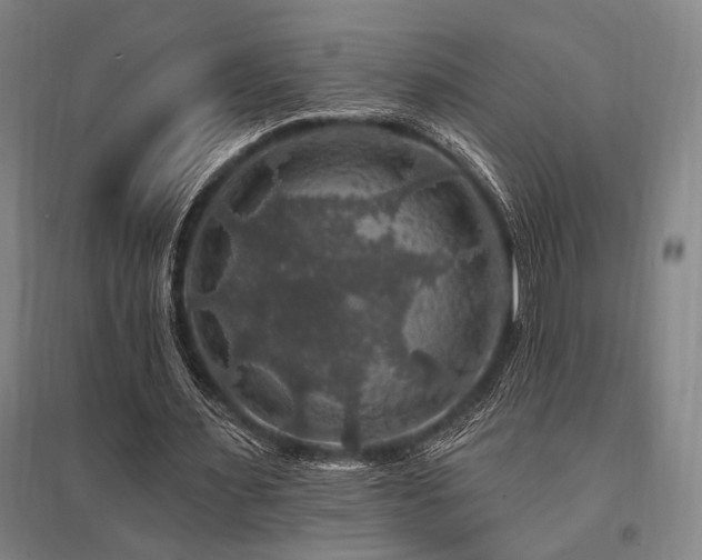 X0000095550483200712141558