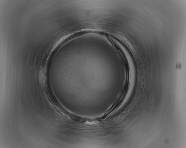 X0000095550484200712141558