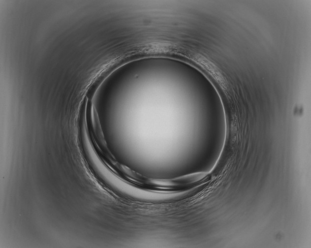 X0000095550485200712141558