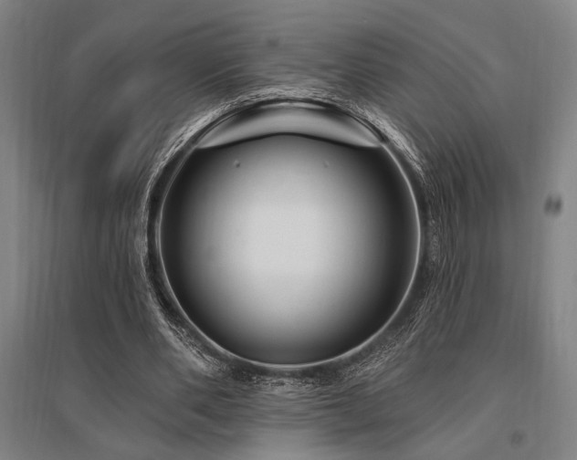 X0000095550486200712141558