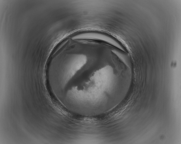 X0000095550487200712141558