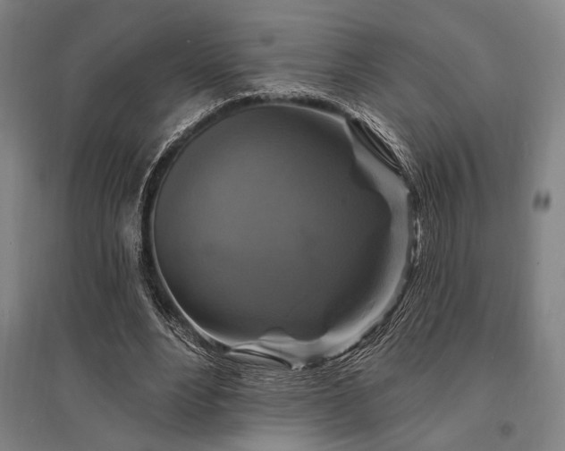 X0000095550488200712141558