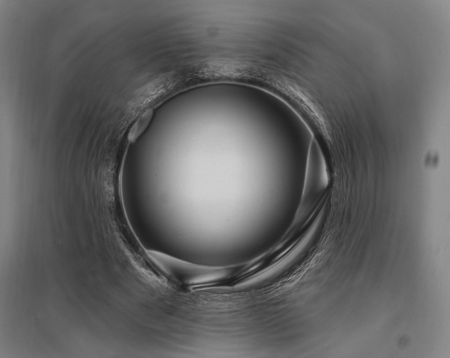 X0000095550489200712141558