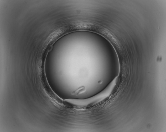 X0000095550490200712141558