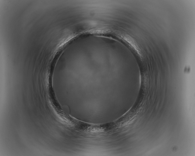 X0000095550491200712141558