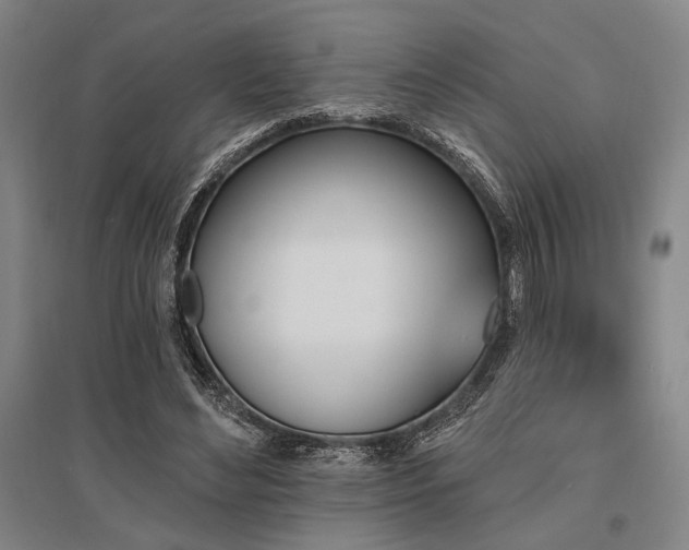 X0000095550492200712141558